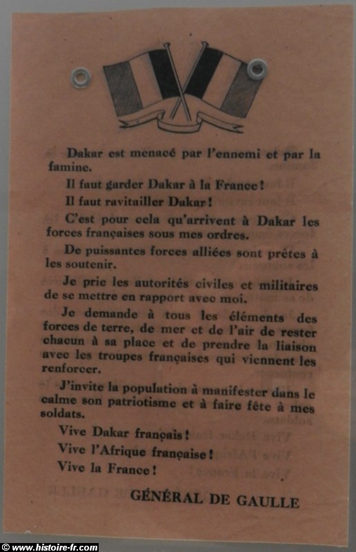 Drapeau De La France Libre Plaque 25mm Dynamo-Models -A90005-25